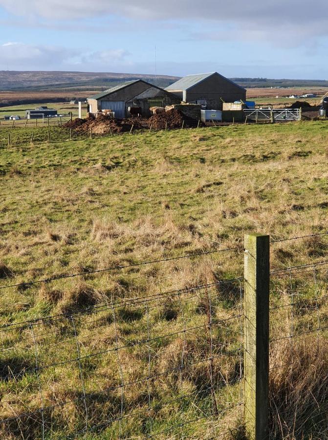 Taigh An T'Saoir Bed & Breakfast Lybster Eksteriør billede